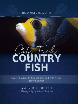 cover image of City Fish Country Fish